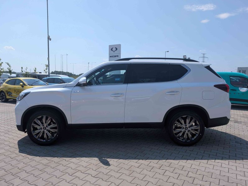 71600 - Rexton
